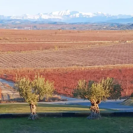 Casa Zapatero En Somontano Сasa de vacaciones *