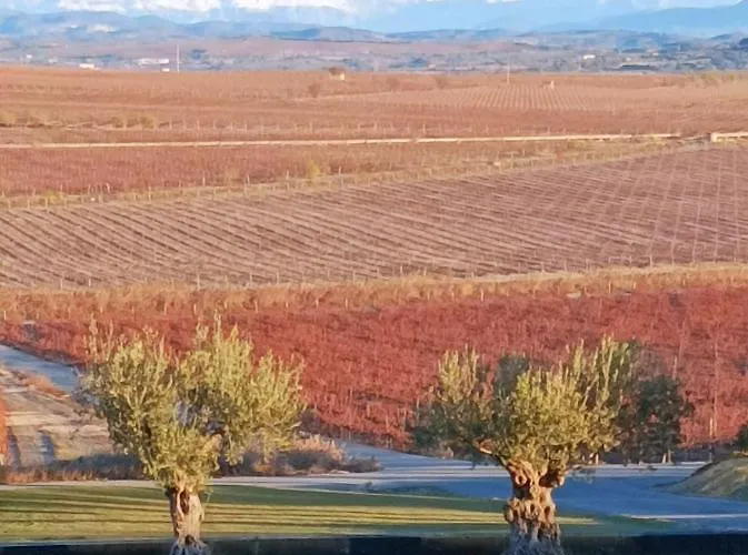 Casa Zapatero En Somontano Semesterbostad *